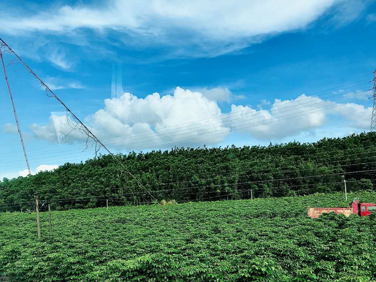齊心開拓 續寫新篇I廣興源2020年6月中高層管理工作會議